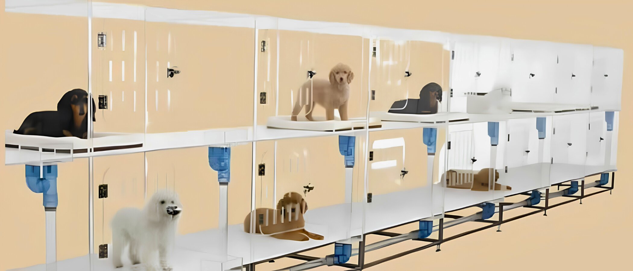 連結して並べたG-STAGEケージの列。各段に犬が入っている